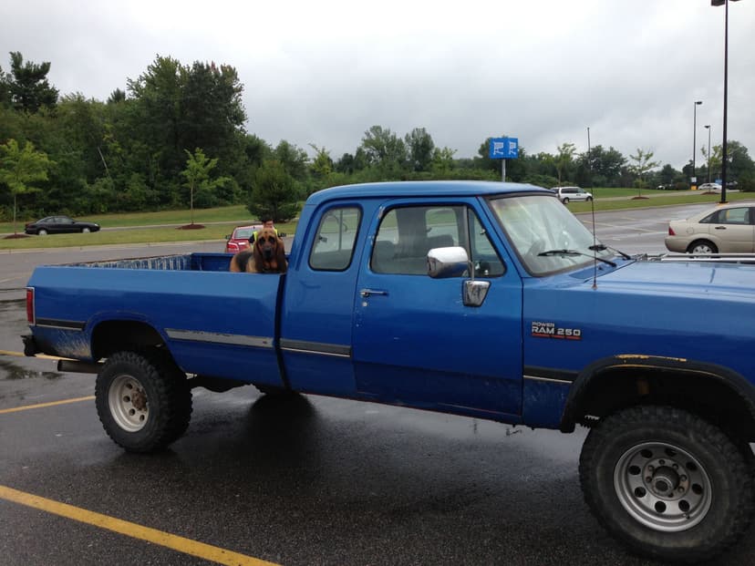 Blue Collar Hippy RV  is a  serving Rogers, AR and surrounding areas within 25 miles