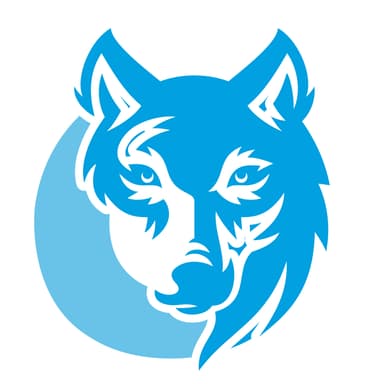 Blue Wolf Mobile RV Services logo