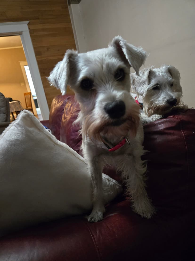 A Whole RV Inspector LLC is a Certified RVTAA Technician and a Certified NRVIA Inspector serving Jacksonville, TX and surrounding areas within 122 miles